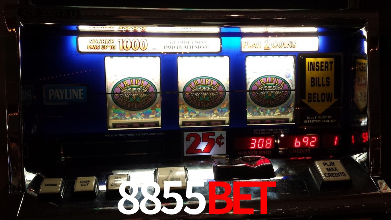 Sports Statistics 8855Bet