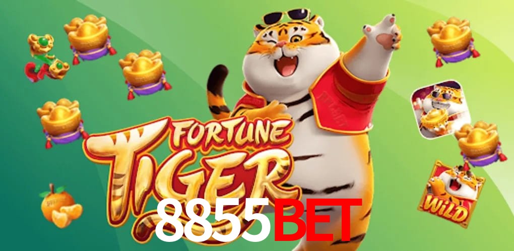 Experiência VIP 8855Bet