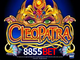 Cassino ao vivo com dealers reais na 8855Bet