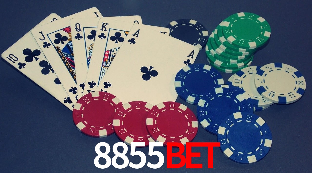 Player Reviews 8855Bet